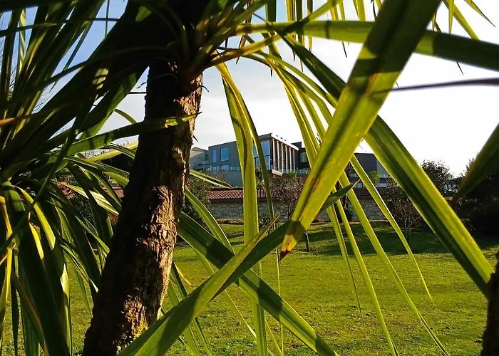 Tempus & Понти-да-Барка